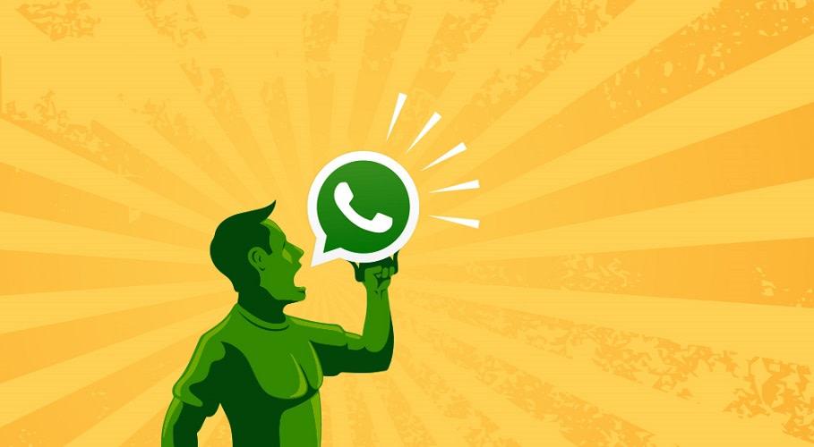 Cover Image for The Anatomy of WhatsApp Marketing